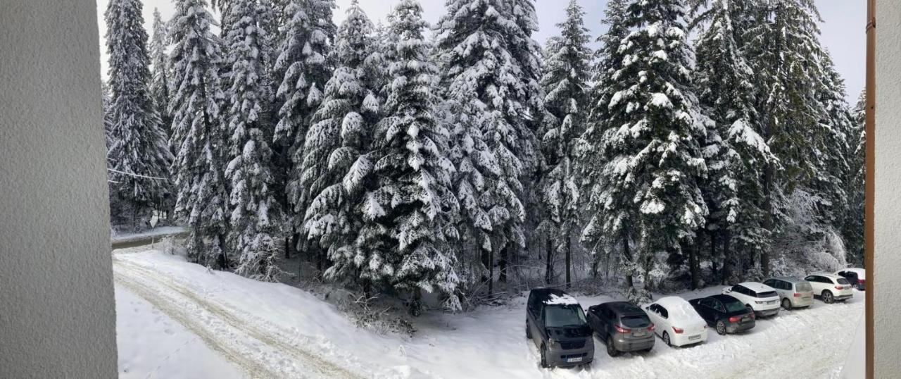 Borovets Gardens Apartment A20 Eksteriør billede